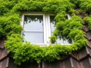 Démoussage toiture et et entretien des gouttières à Thionville