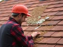 Démoussage toiture et et entretien des gouttières à Compiègne